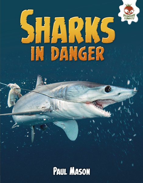 Sharks in Danger (Wild World of Sharks)