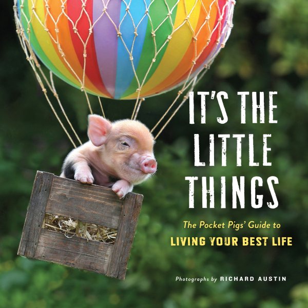 It's the Little Things: The Pocket Pigs' Guide to Living Your Best Life (Inspiration Book, Gift Book, Life Lessons, Mini Pigs) cover