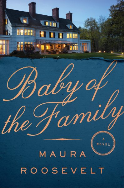 Baby of the Family: A Novel cover