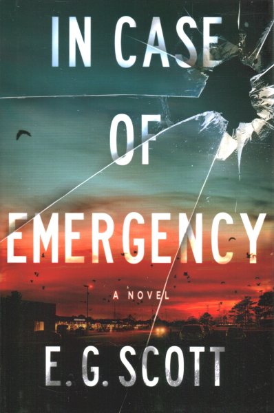 In Case of Emergency: A Novel cover