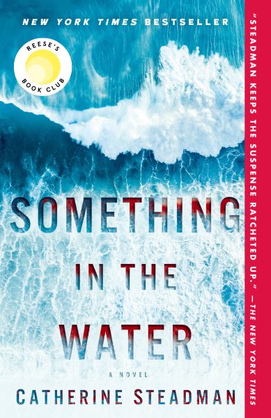 Something in the Water: A Novel cover
