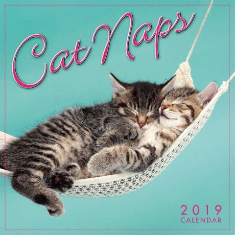 Cat Naps 2019 Mini Calendar cover