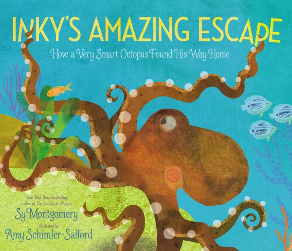 Inky's Amazing Escape: How a Very Smart Octopus Found His Way Home cover