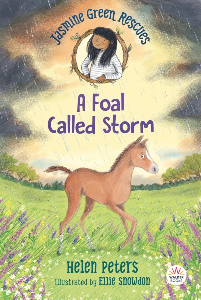Jasmine Green Rescues: A Foal Called Storm cover