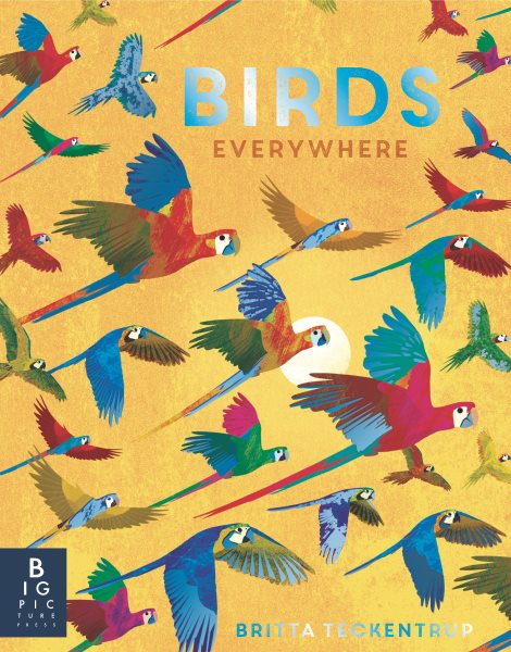 Birds Everywhere (Animals Everywhere) cover