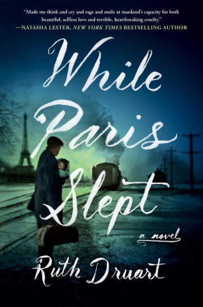 While Paris Slept: A Novel cover