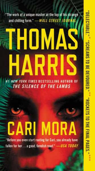 Cari Mora: A Novel cover