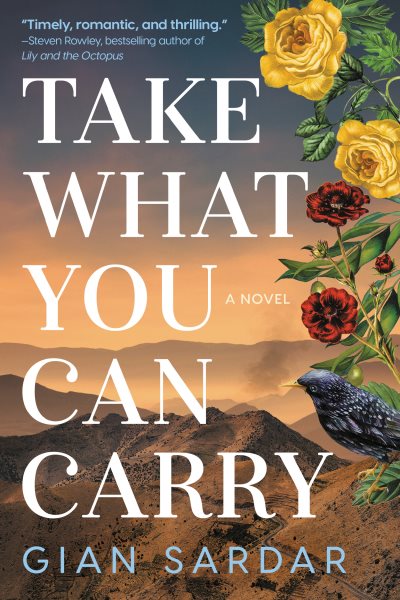 Take What You Can Carry: A Novel cover