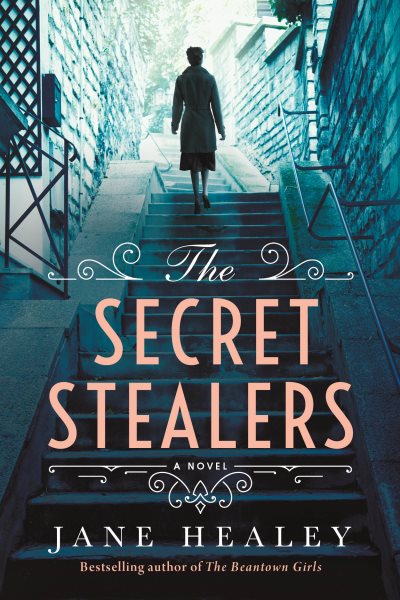 The Secret Stealers: A Novel cover