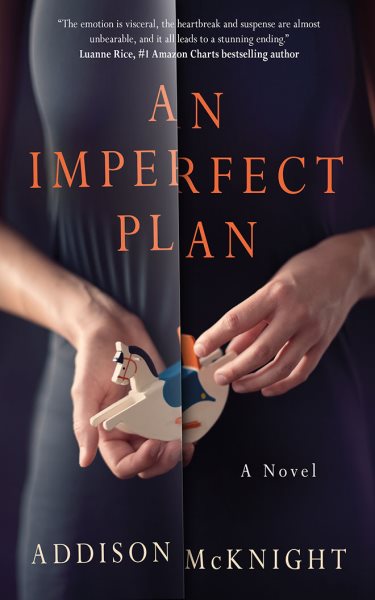 An Imperfect Plan: A Novel cover