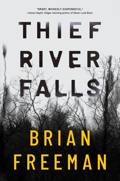 Thief River Falls cover