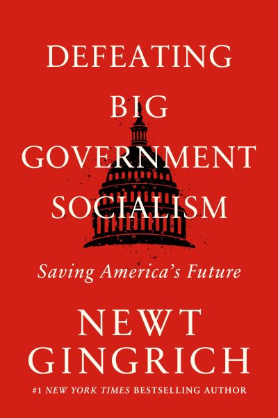 Defeating Big Government Socialism: Saving America's Future cover