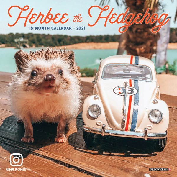 Herbee the Hedgehog 2021 Mini Wall Calendar cover
