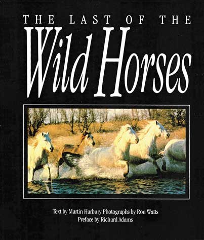 The Last of the Wild Horses cover