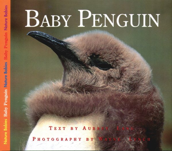 Baby Penguin (Nature Babies) cover