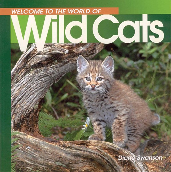 Welcome to the World of Wild Cats (Welcome to the World Series) cover