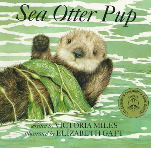 Sea Otter Pup
