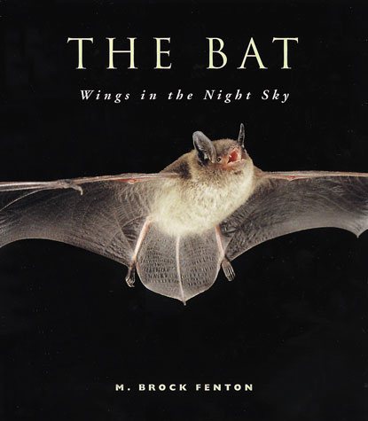 The Bat: Wings in the Night Sky cover