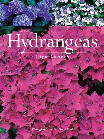Hydrangeas cover