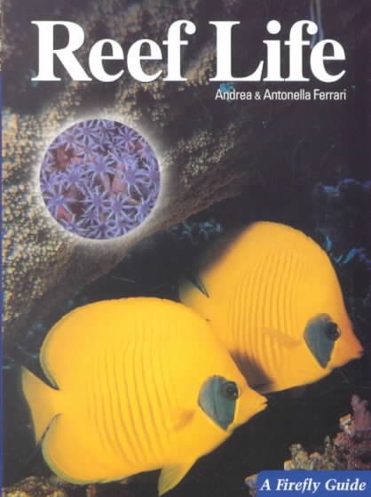 Reef Life (A Firefly Guide) cover