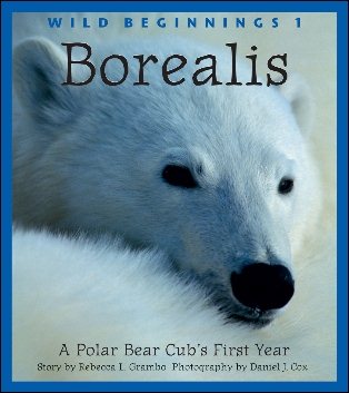 Borealis: A Polar Bear Cub's First Year (Wild Beginnings Series) cover