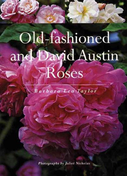 Old-fashioned and David Austin Roses cover