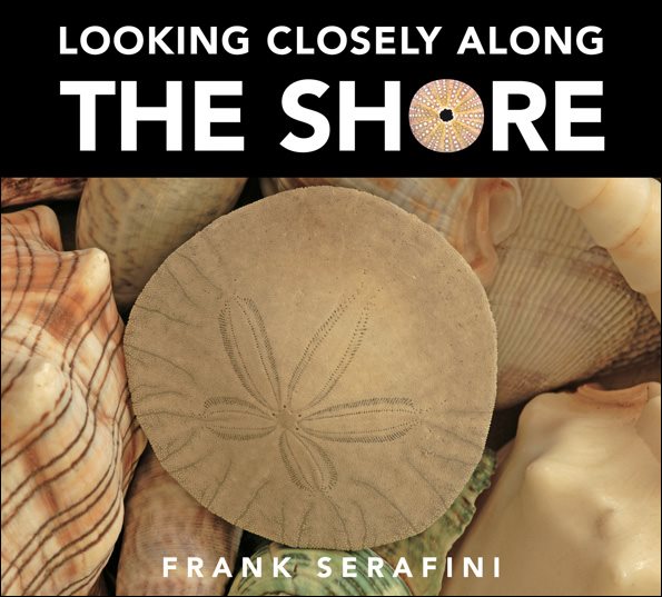 Looking Closely along the Shore cover