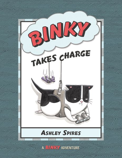 Binky Takes Charge (A Binky Adventure) cover