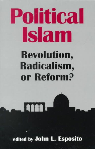 Political Islam: Revolution, Radicalism, or Reform cover