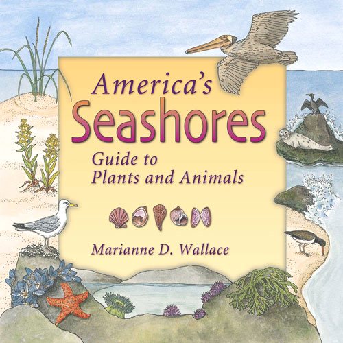 America's Seashores: Guide to Plants and Animals (America's Ecosystems) cover
