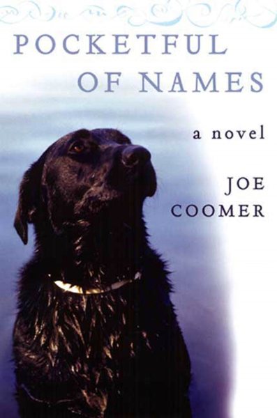 Pocketful of Names: A Novel cover