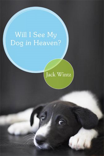 Will I See My Dog In Heaven cover