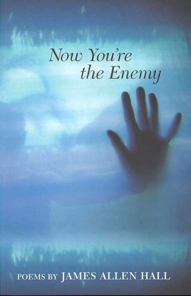 Now You're the Enemy: Poems cover