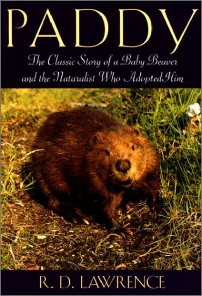 Paddy: The Classic Story of a Baby Beaver and the Naturalist Who Adopted Him cover