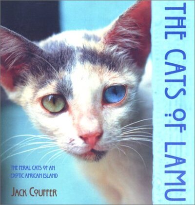 The Cats of Lamu cover