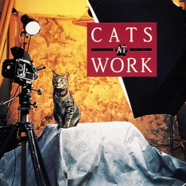 Cats at Work cover