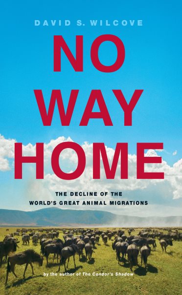 No Way Home: The Decline of the World's Great Animal Migrations cover