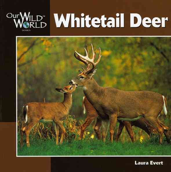 Whitetail Deer (Our Wild World) cover