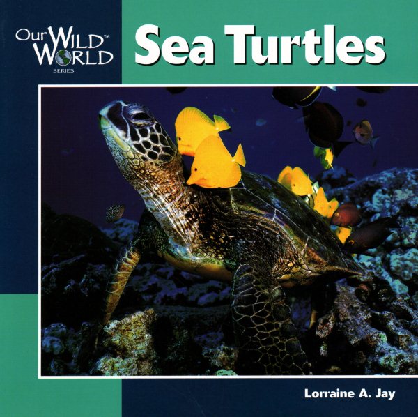 Sea Turtles (Our Wild World) cover