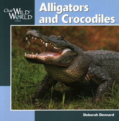 Alligators & Crocodiles (Our Wild World) cover