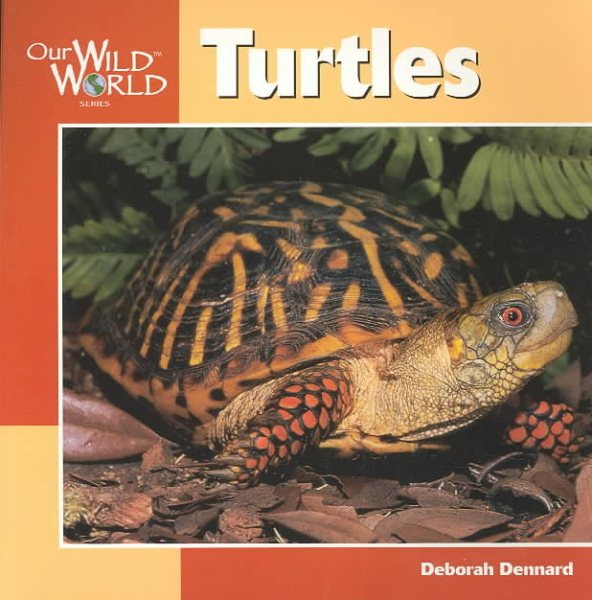 Turtles (Our Wild World) cover