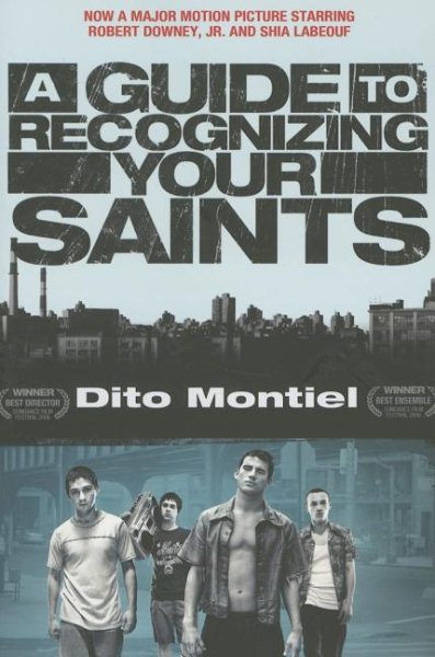 A Guide to Recognizing Your Saints cover