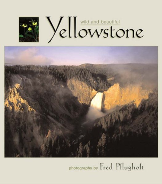 Yellowstone Wild and Beautiful cover