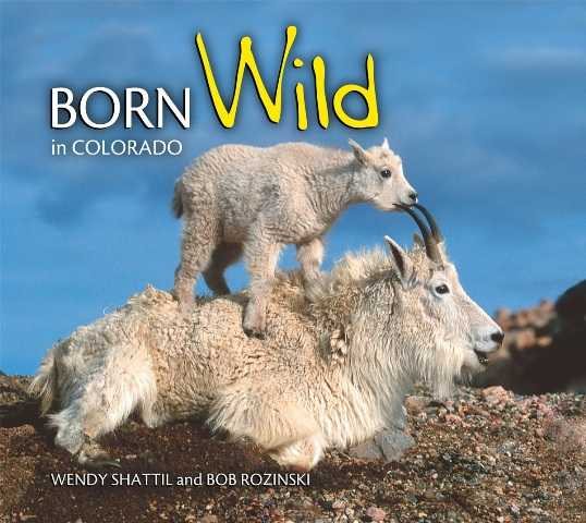 Born Wild in Colorado cover