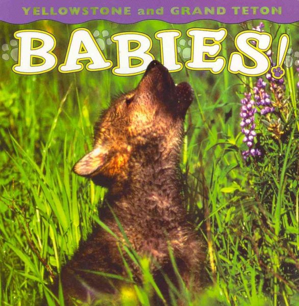 Yellowstone and Grand Teton Babies! (Babies! Animal) cover