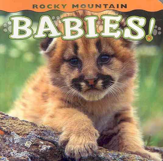 Rocky Mountain Babies! (Babies! (Farcountry Press)) cover