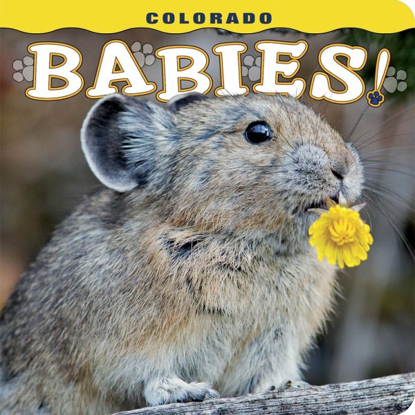 Colorado Babies! cover
