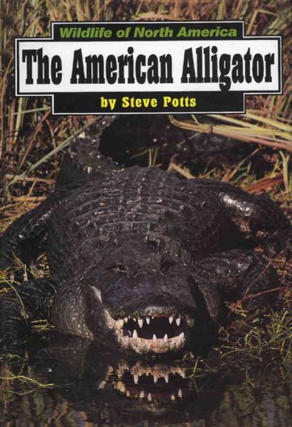 The American Alligator (Wildlife of North America)