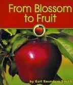 From Blossom to Fruit (Pebble Books) cover