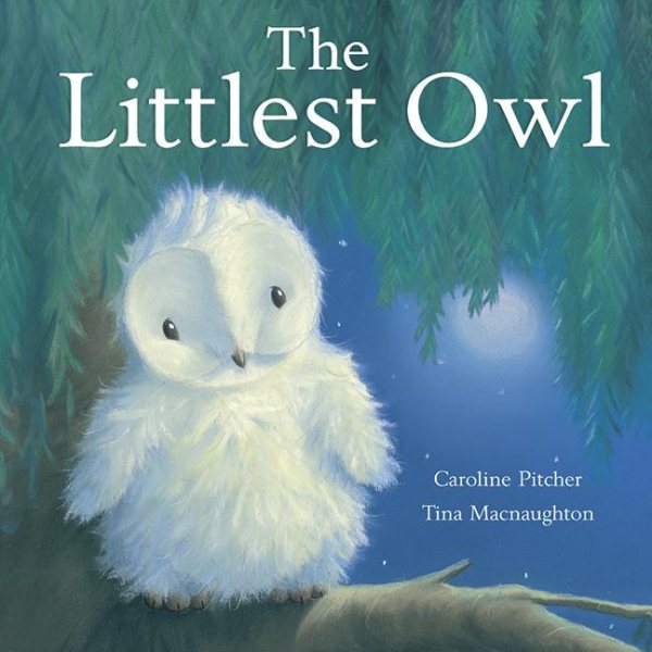 Littlest Owl cover